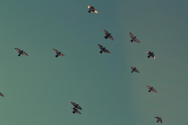Java8新功能速查表